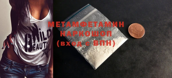 индика Горняк